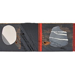 Trashures RC-1.44 - Afbeelding 1