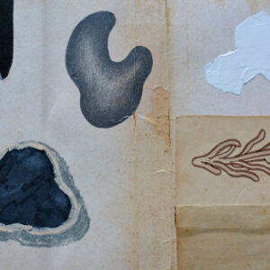 Trashures PC-1.1 - Afbeelding 3